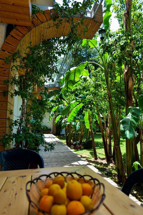 סרנדה Villa Green Garden מראה חיצוני תמונה